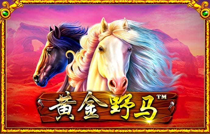 c7game截图3